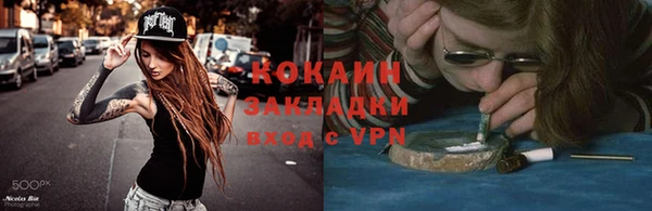СК Новозыбков