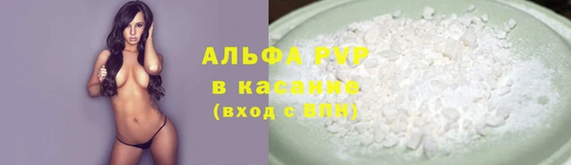 СК Новозыбков