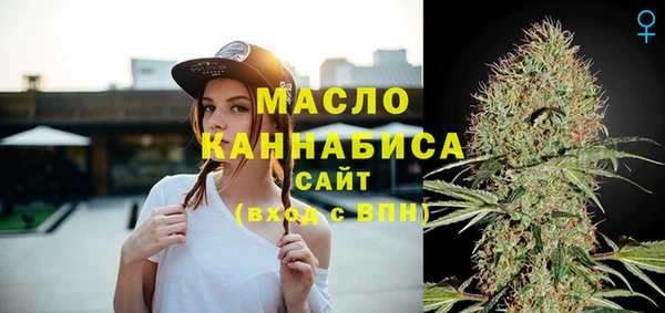 СК Новозыбков
