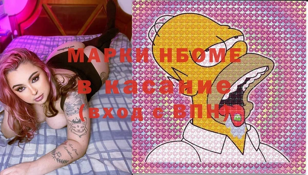 СК Новозыбков
