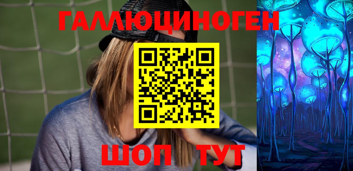 Псилоцибиновые грибы Psilocybe  дарнет шоп  Стерлитамак  Вход с VPN 