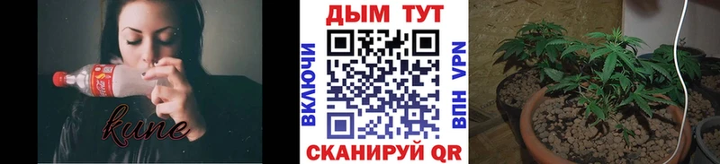 МАРИХУАНА SATIVA & INDICA Стерлитамак